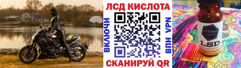 блэк спрут tor  цены   Весьегонск  Марки NBOMe 1,8мг 