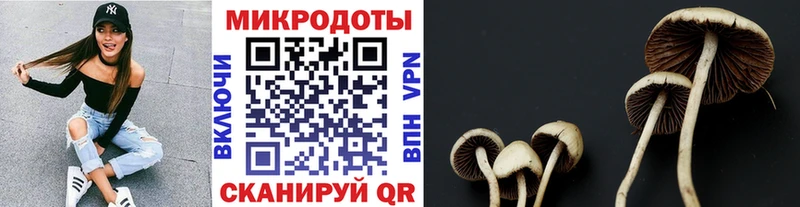 ссылка на мегу маркетплейс  Весьегонск  Галлюциногенные грибы Cubensis 